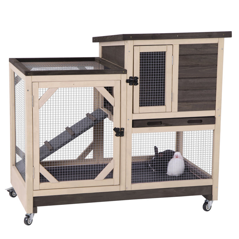 Tucker Murphy™ Pet Terrill Weather Resistant Small Animal Hutch with Ramp